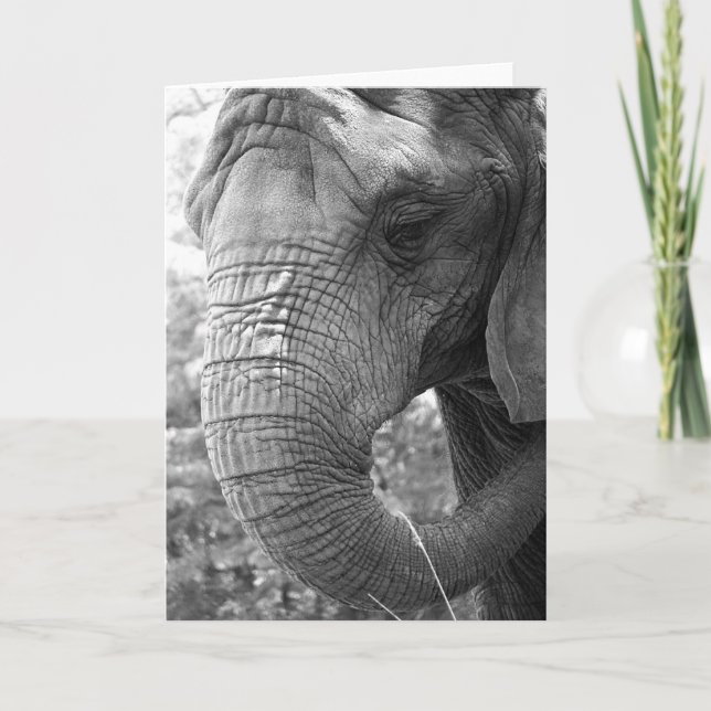 Carte Éléphant (Devant)