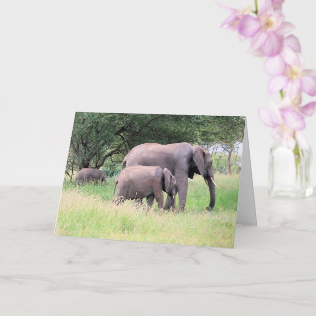 Carte Elephant avec des veaux Faune Bébé Animaux Photo (Orchidée)