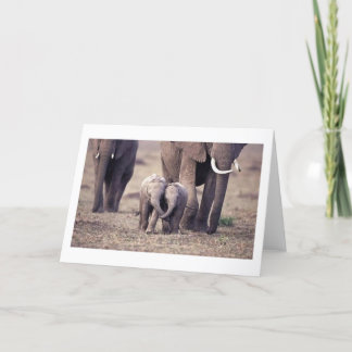 Carte Éléphant de meilleurs amis