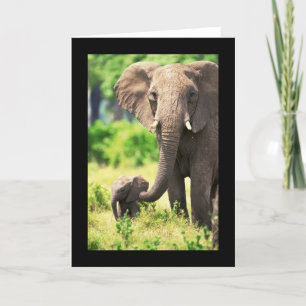 Carte Eléphant et bébé