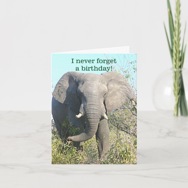 CARTE ELEPHANT/I N'OUBLIENT JAMAIS UN BIRTHDAY/EXCEPT (Devant)