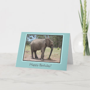 Carte Elephant Joyeux Anniversaire