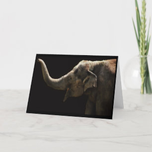 Carte Éléphant-Vide heureuse