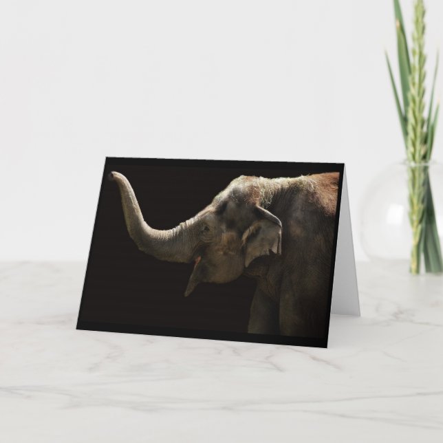 Carte Éléphant-Vide heureuse (Devant)