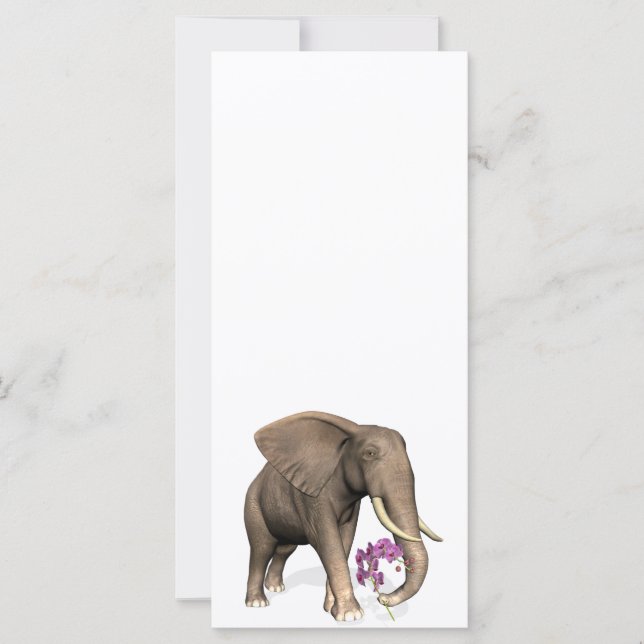 Carte Elephant With Pink Orchid (Devant)