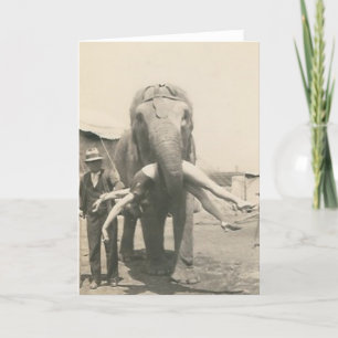 Carte elephant witrl in mouth greeting card