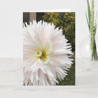 Carte Elfe Dahlia