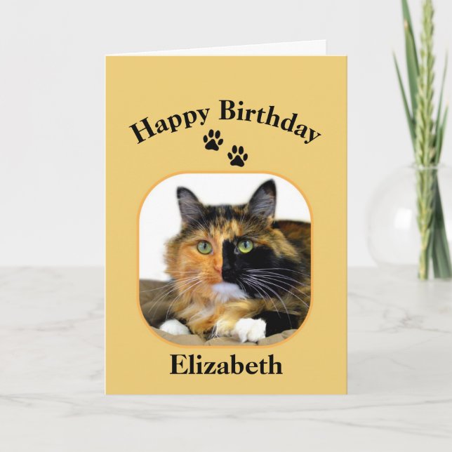 Carte Elizabeth Calico Chat Joyeux anniversaire (Devant)