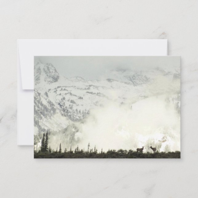 Carte Elk at Grand Teton National Park Photographie (Devant)