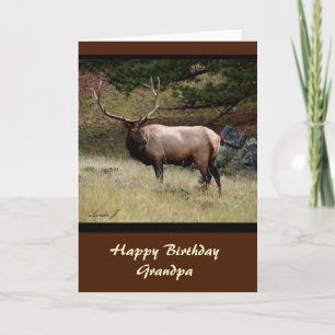 Carte Elk dans le désert