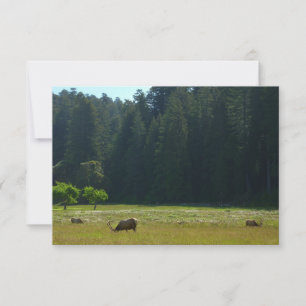 Carte Elk Meadow at Redwood National Park