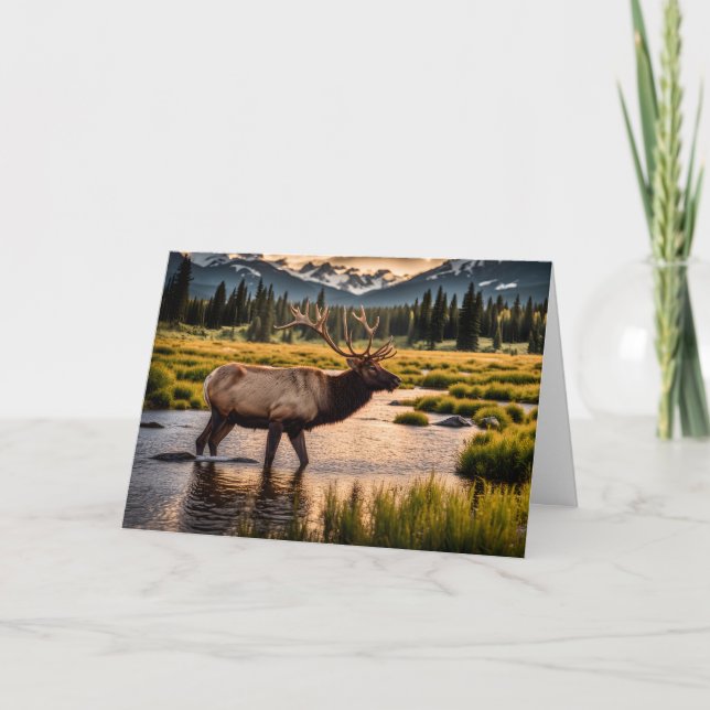 Carte Elk Traversant la rivière Anniversaire (Devant)