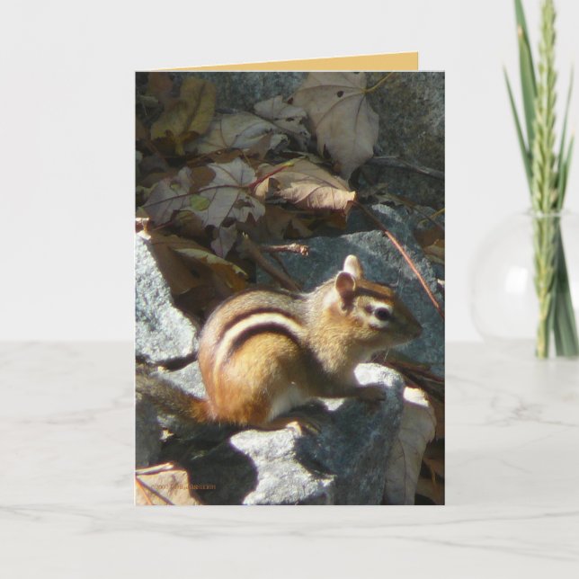 Carte Elle s'est arrêtée (Devant)