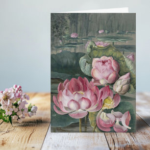 Carte Ellis Rowan Sacré Lotus Eau Lily Fleur Vintage