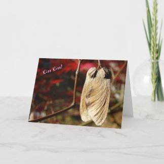 Carte Embrasse-toi !