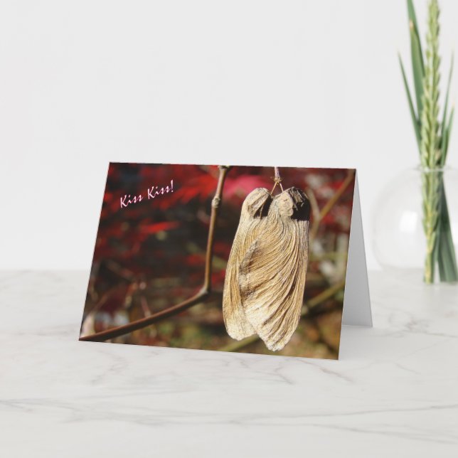 Carte Embrasse-toi ! (Devant)