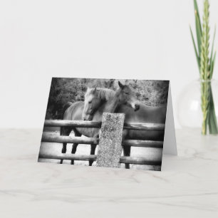 Carte Embrasser les chevaux - C'est l'amour !
