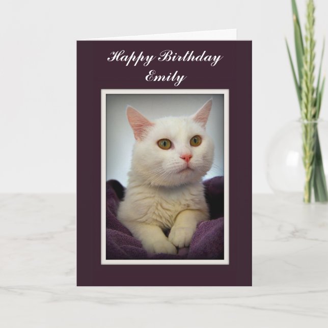Carte Emily Happy Birthday White Cat Card (Devant)