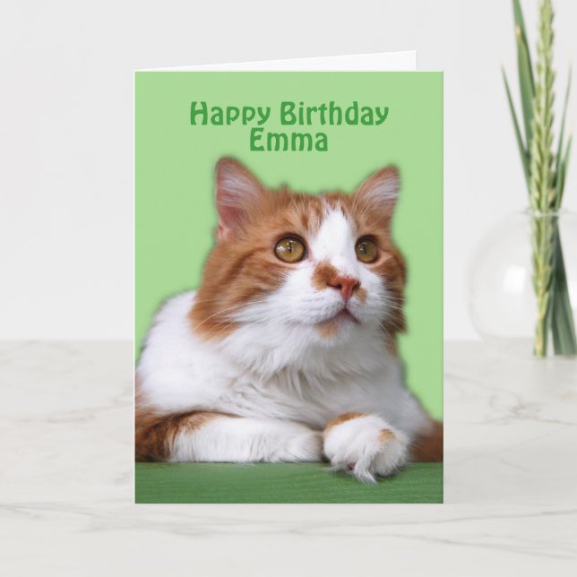 Carte Emma Joyeux Anniversaire Chat orange et blanc (Devant)