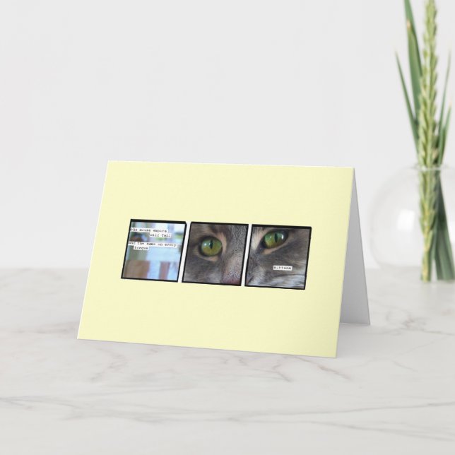 Carte Empire de chat (Devant)