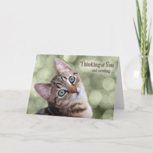 Carte Encouragement à penser à vous Tabby Kitten