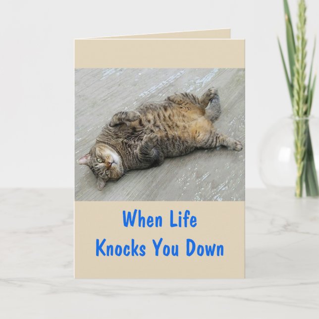 Carte Encouragement Chat Lutter contre (Devant)