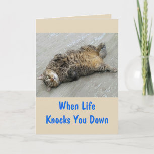 Carte Encouragement Chat Lutter contre