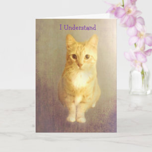 Carte Encouragement du cancer du chat orange