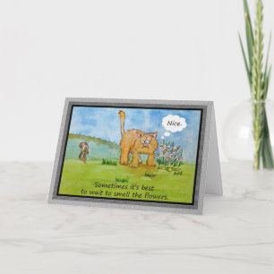 Carte Encouragement Funny Humour Chat Chien Vous Pouvez 