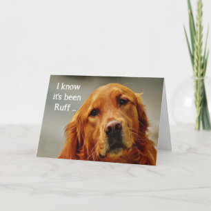 Carte Encouragement / Guérison Mignon Chien Retriever Do