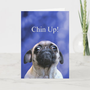 Carte Encouragement Hang in There Chinn Up Carlin Chien
