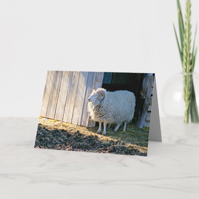 Carte Encouragement, jolie scène agricole à Sunlight (Devant)