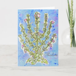 Carte Encouragez-Moi "Shalom"
