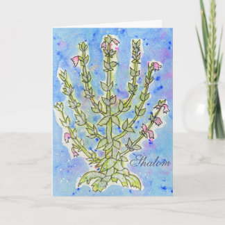 Carte Encouragez-Moi "Shalom"