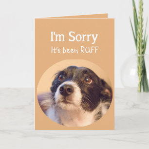 Carte Encouragez ou réussissez avec un chien triste mais