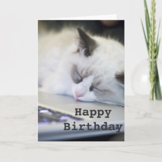 Carte endormie de joyeux anniversaire de chaton