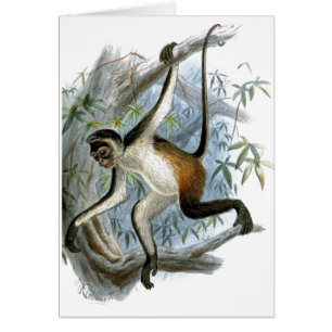 Carte enfant Cheeky Monkey CC0366