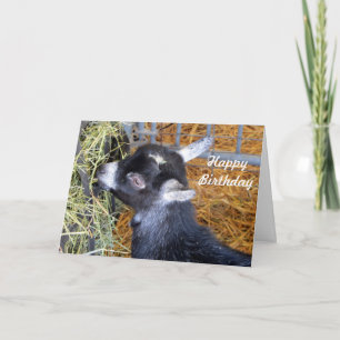 Carte Enfant Chèvre foin Anniversaire