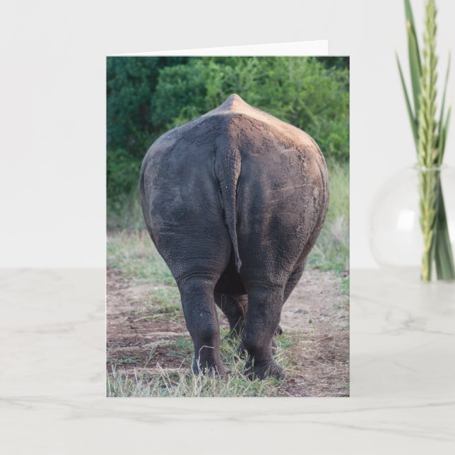 Carte Entretien à la queue - rhinocéros (Devant)