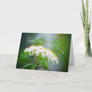 Carte Envoi de vœux d'anniversaire Fleur blanche