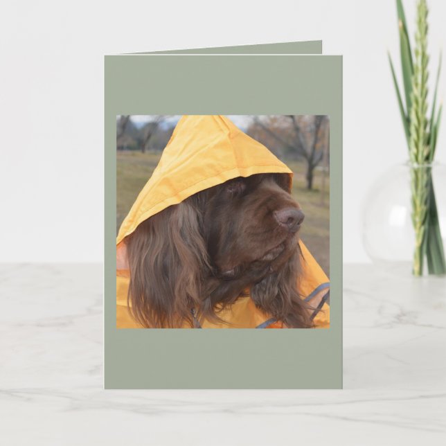 Carte Épagneul de Sussex attendant la pluie (Devant)