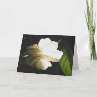 Carte Épouser la fleur ene ivoire parfumée de gardénia