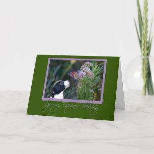Carte Equinox de printemps Papillon et Chiot Ostar