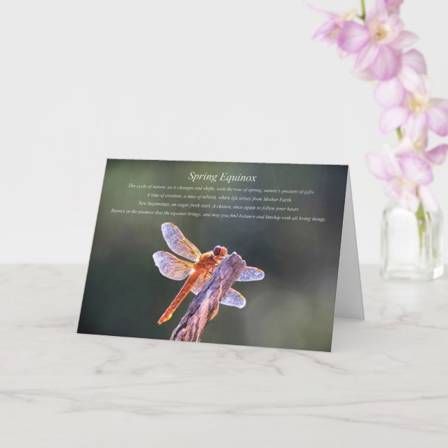 Carte Equinoxe de printemps avec libellule et bénédictio (Orchidée)