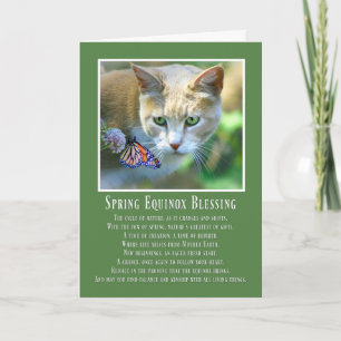 Carte Équinoxe de printemps Ostara Chat et Papillon