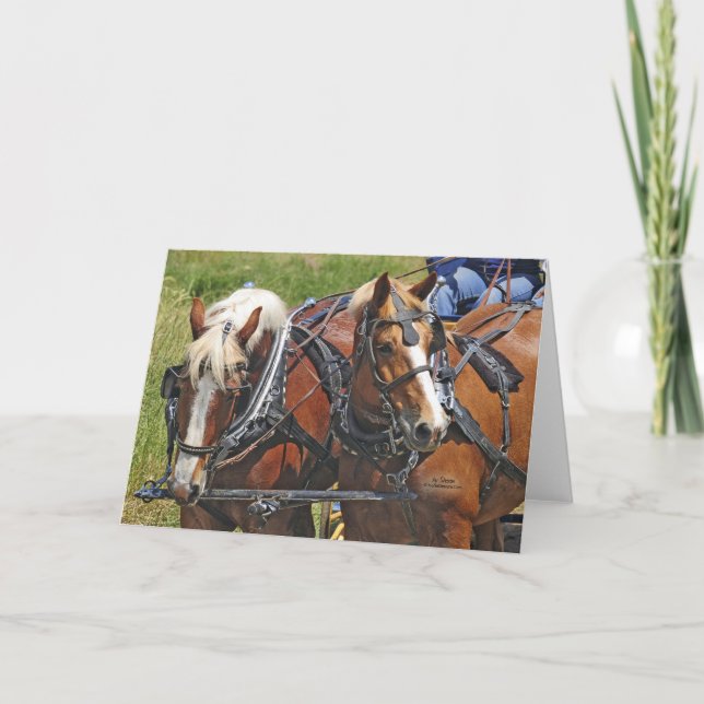 Carte Équipe de Belgique (Devant)