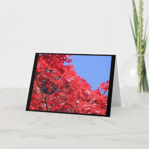 Carte érable japonais