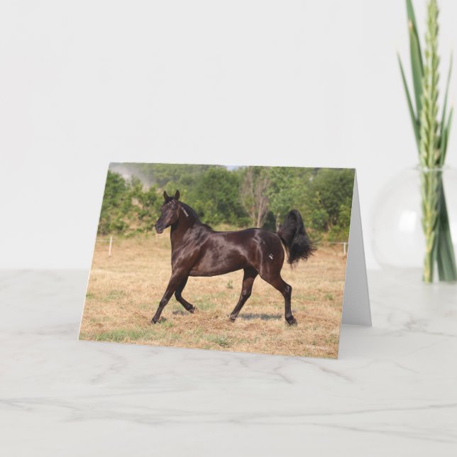 Carte Espagnol Brown foncé Mustang Mare marcher (Devant)