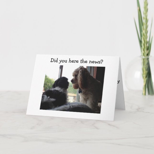 CARTE ESPAGNOL ET HAVANES VOUS DIT HEUREUX ANNIVERSAIRE (Devant)