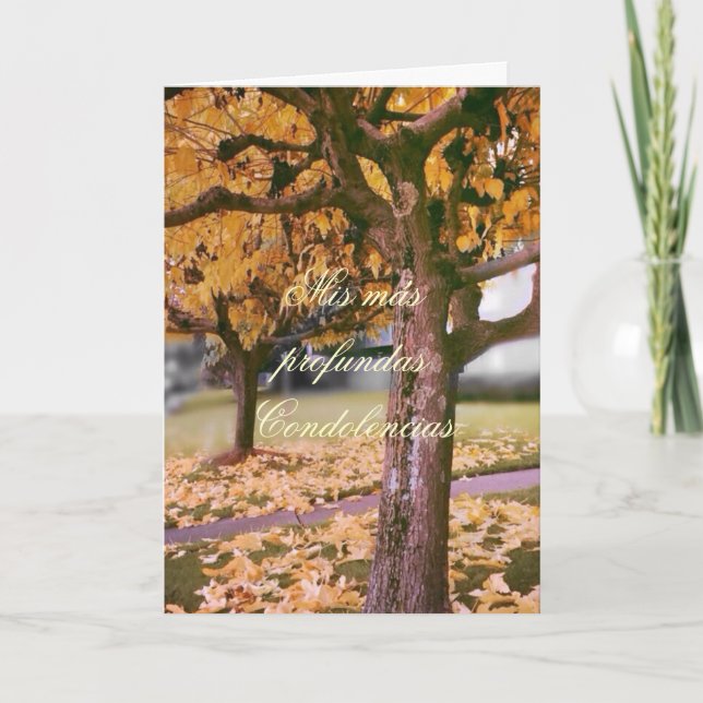 Carte Espagnol : Pesame /Sympathie (Devant)